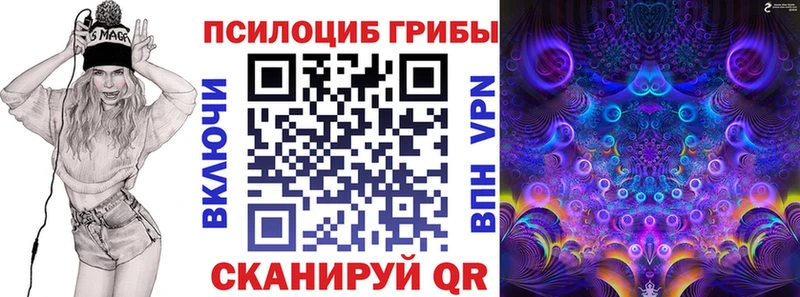 Псилоцибиновые грибы Magic Shrooms продажа наркотиков Вилючинск